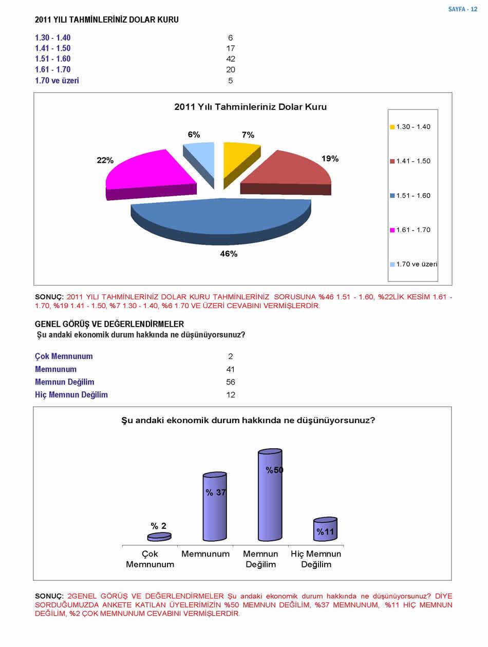 2011 Sanayici Anketi